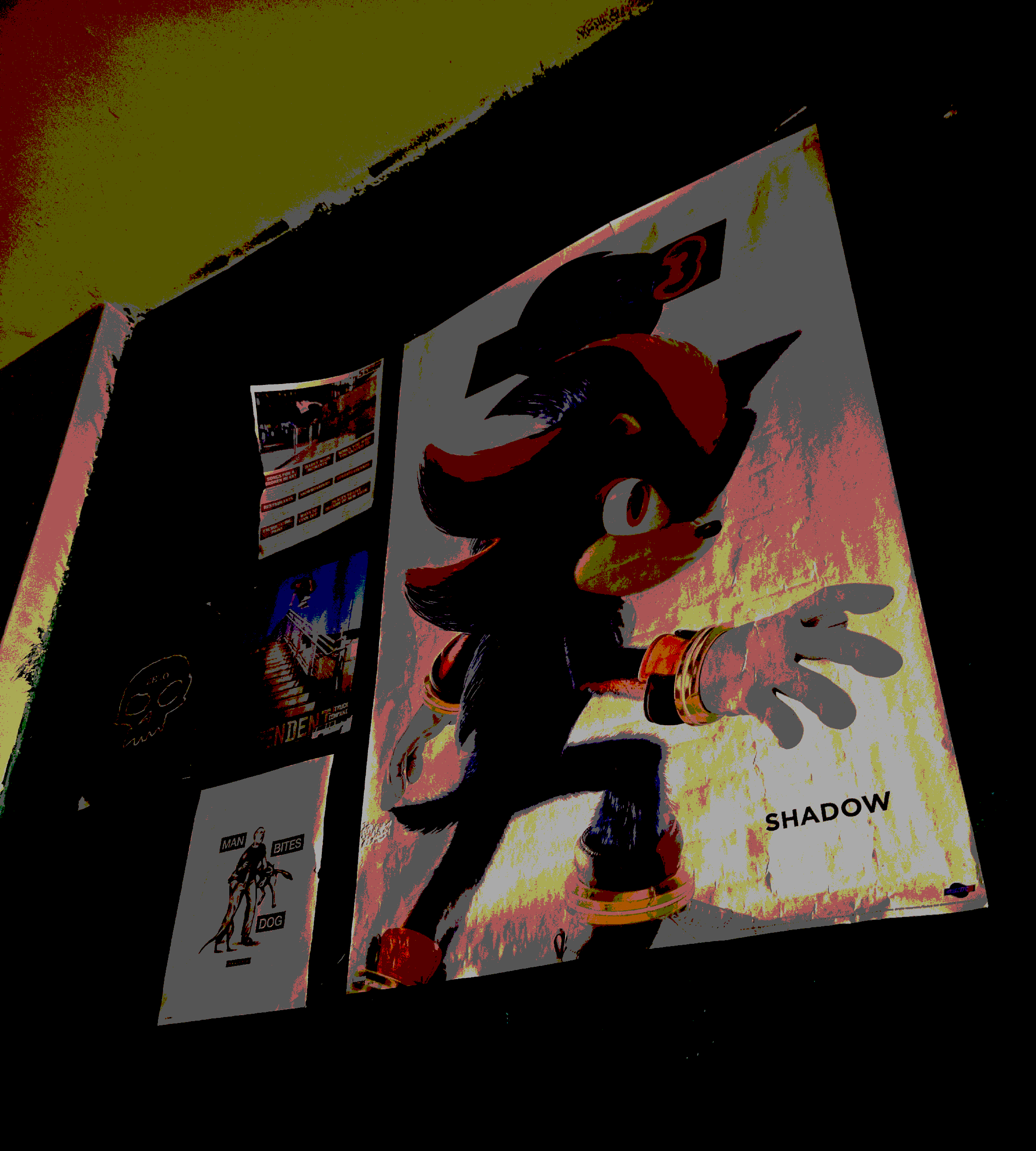 Photograph of posters on a wall