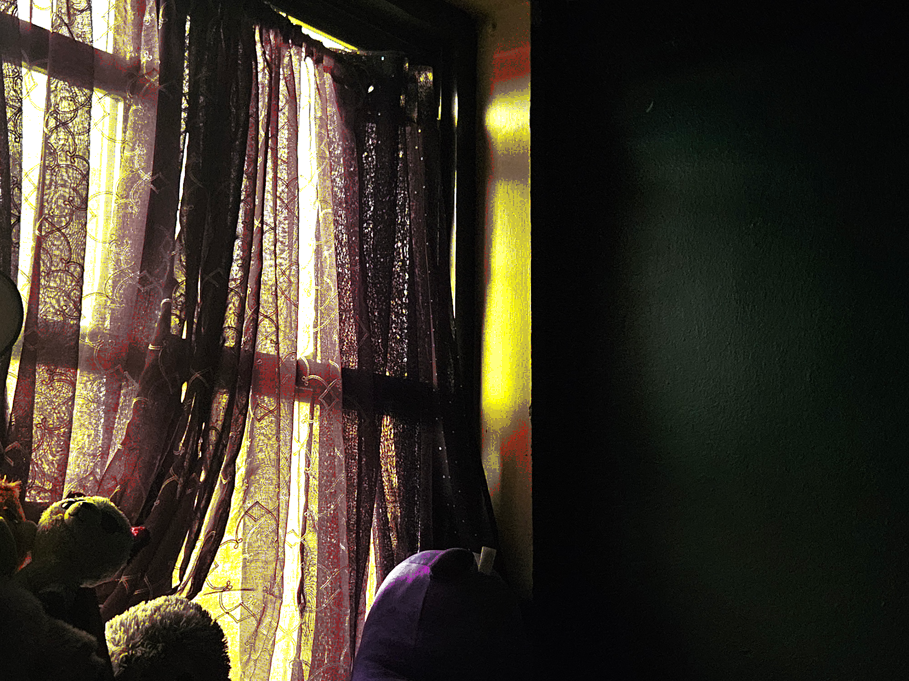 Photograph of pigeon sitting in the snow